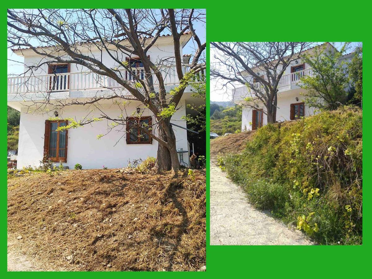 Kampos View Ikaria Διαμέρισμα Εύδηλος Εξωτερικό φωτογραφία