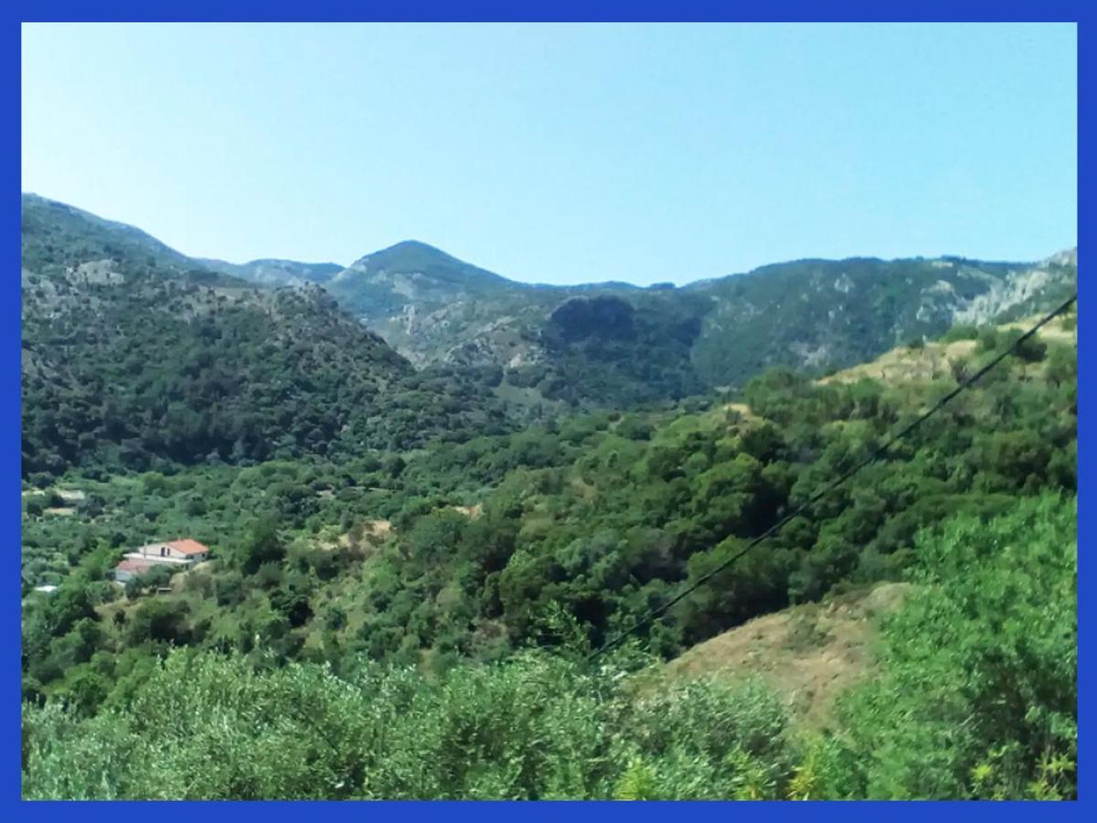 Kampos View Ikaria Διαμέρισμα Εύδηλος Εξωτερικό φωτογραφία