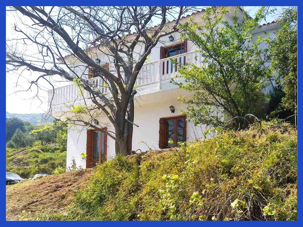 Kampos View Ikaria Διαμέρισμα Εύδηλος Εξωτερικό φωτογραφία