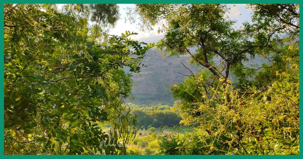 Kampos View Ikaria Διαμέρισμα Εύδηλος Εξωτερικό φωτογραφία