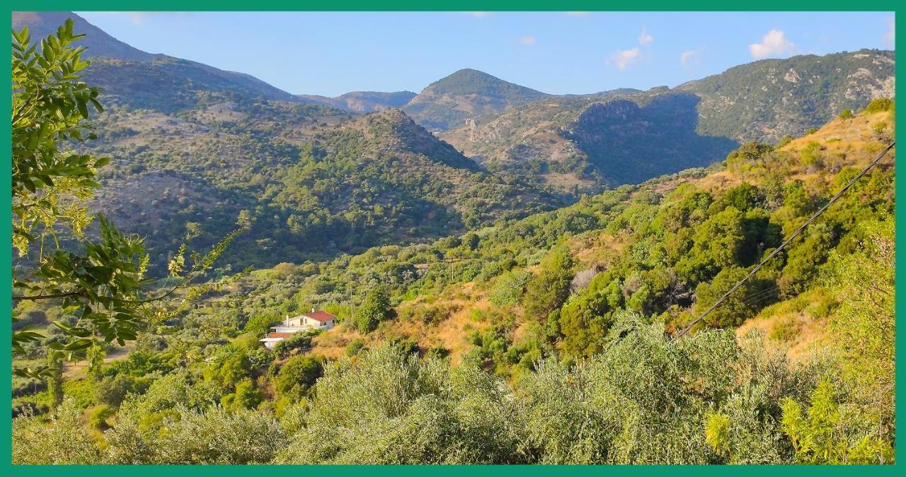 Kampos View Ikaria Διαμέρισμα Εύδηλος Εξωτερικό φωτογραφία