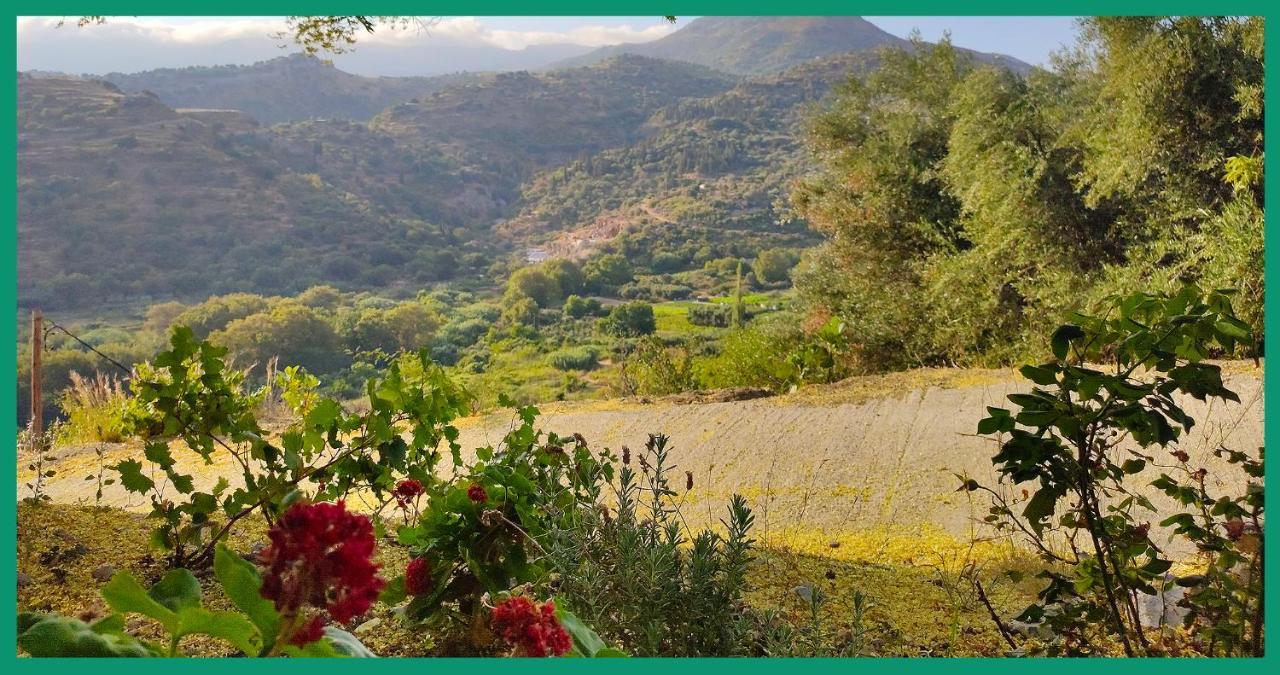 Kampos View Ikaria Διαμέρισμα Εύδηλος Εξωτερικό φωτογραφία