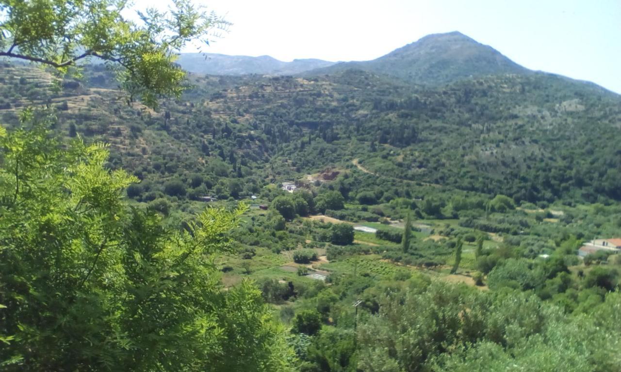 Kampos View Ikaria Διαμέρισμα Εύδηλος Εξωτερικό φωτογραφία