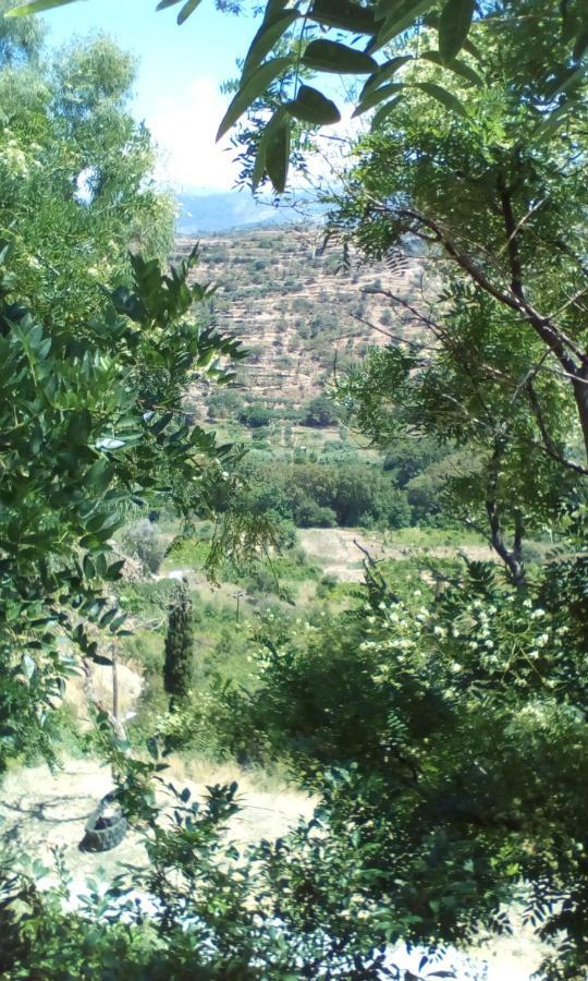 Kampos View Ikaria Διαμέρισμα Εύδηλος Εξωτερικό φωτογραφία